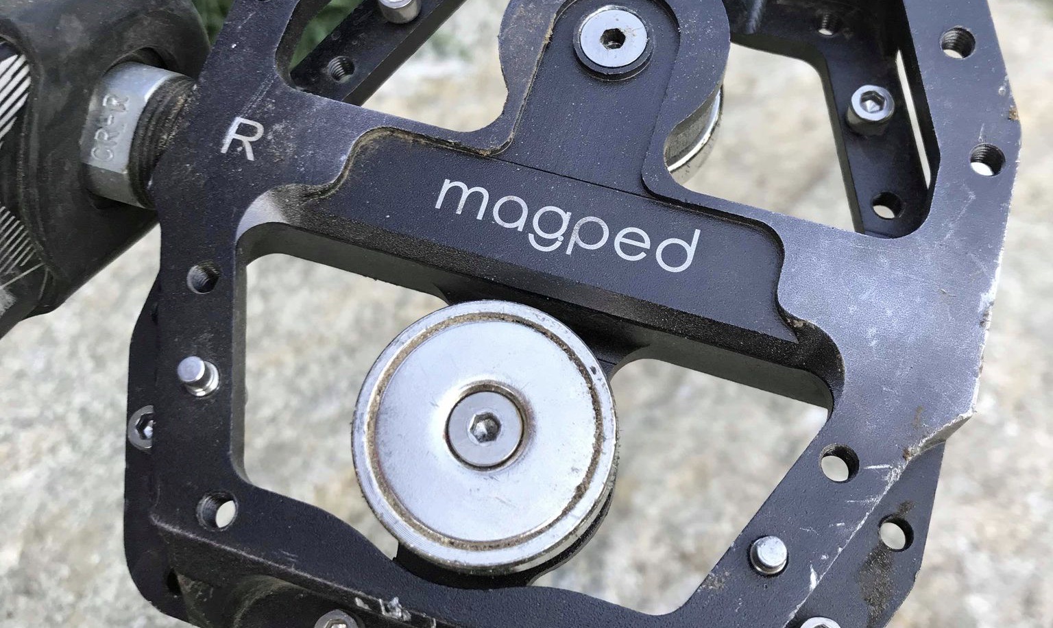 Magped_cover